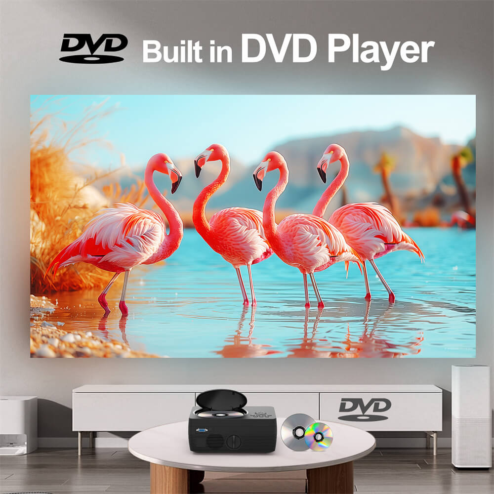 w11 projector with dvd player